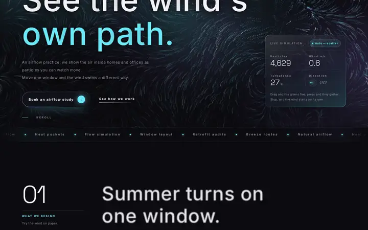 Flow Field Particles