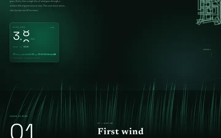 WIND OVER GRASS