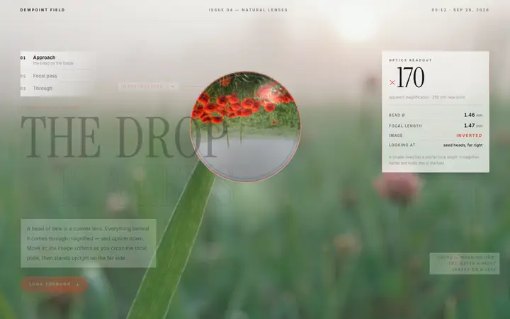 Zoom Through the Dewdrop