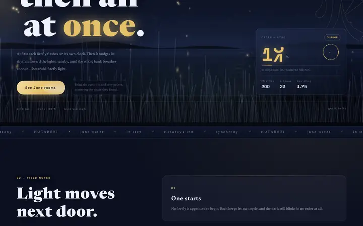 Firefly Night &mdash; motionAETHER