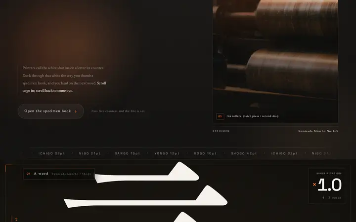 Zoom Through